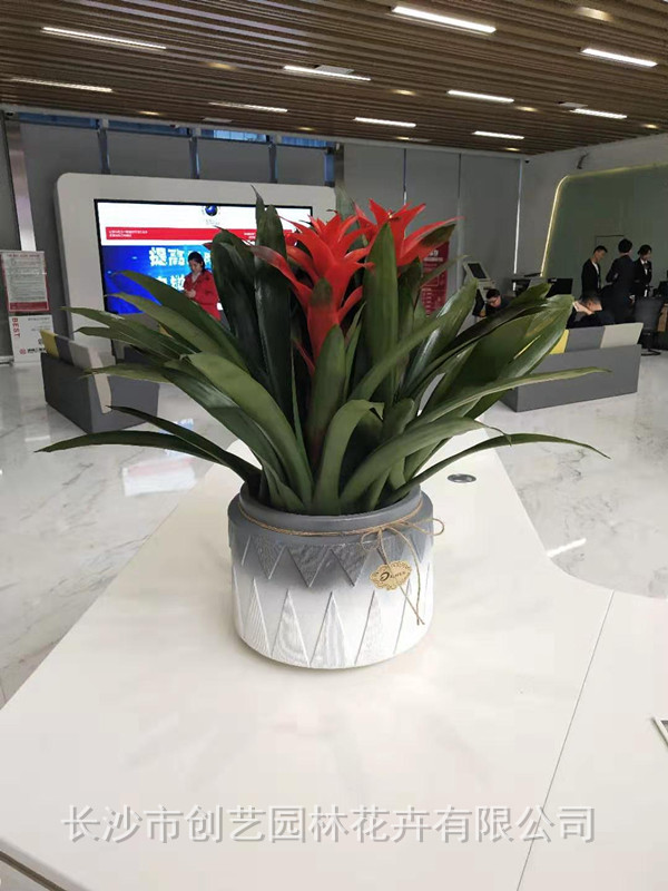 高檔小組合