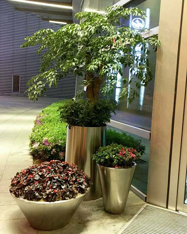 花卉擺放技巧,吸毒植物種類,如何種植花草,長沙高端盆花租賃,長沙花卉租賃,長沙組合組景租賃,長沙室內(nèi)外花卉租賃公司 花卉擺放技巧,吸毒植物種類,如何種植花草,長沙高端盆花租賃,長沙花卉租賃,長沙組合組景租賃,長沙室內(nèi)外花卉租賃公司