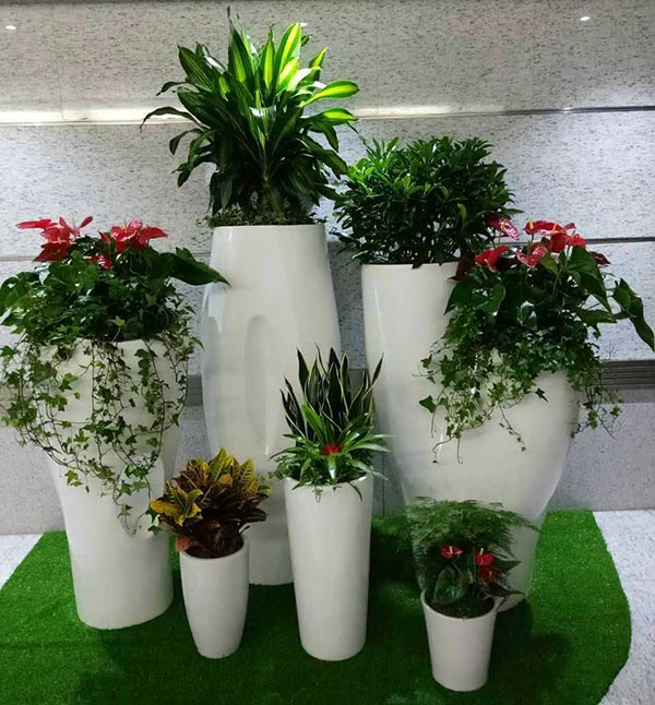 花卉擺放技巧,吸毒植物種類,如何種植花草,長沙高端盆花租賃,長沙花卉租賃,長沙組合組景租賃,長沙室內(nèi)外花卉租賃公司 花卉擺放技巧,吸毒植物種類,如何種植花草,長沙高端盆花租賃,長沙花卉租賃,長沙組合組景租賃,長沙室內(nèi)外花卉租賃公司