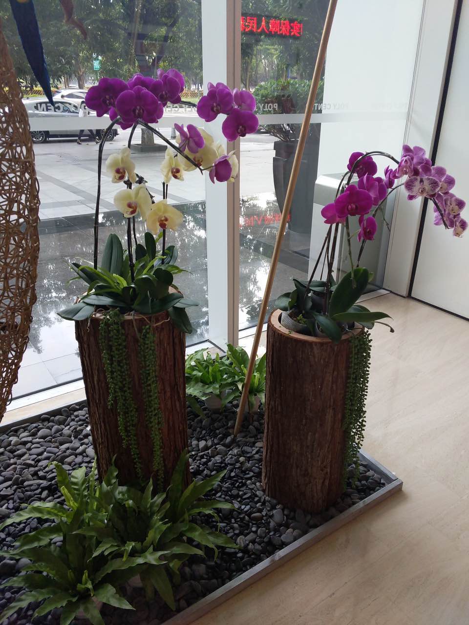 花卉擺放技巧,吸毒植物種類,如何種植花草,長(zhǎng)沙高端盆花租賃,長(zhǎng)沙花卉租賃,長(zhǎng)沙組合組景租賃,長(zhǎng)沙室內(nèi)外花卉租賃公司 花卉擺放技巧,吸毒植物種類,如何種植花草,長(zhǎng)沙高端盆花租賃,長(zhǎng)沙花卉租賃,長(zhǎng)沙組合組景租賃,長(zhǎng)沙室內(nèi)外花卉租賃公司