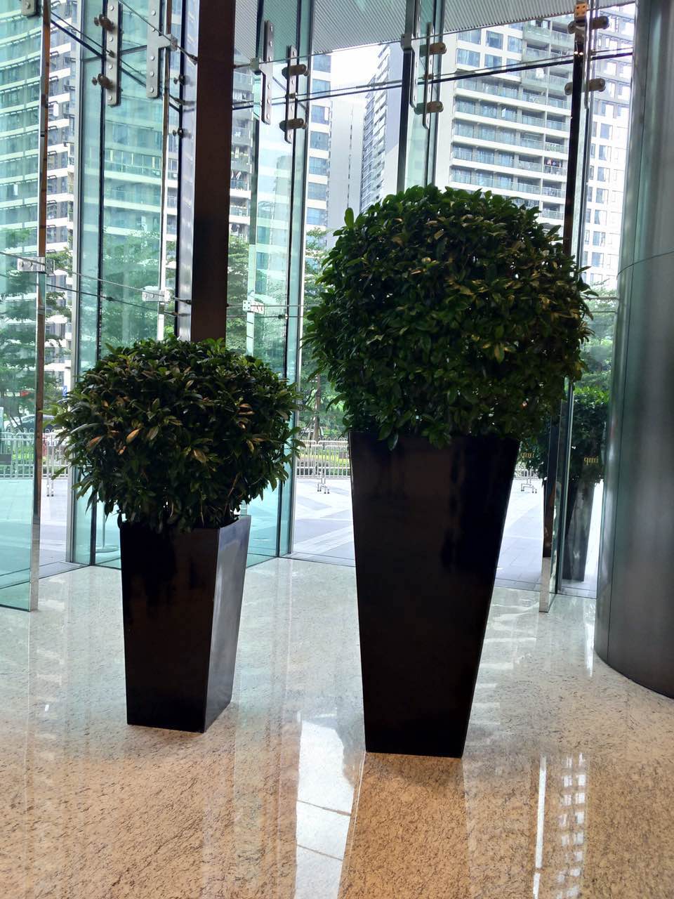 花卉擺放技巧,吸毒植物種類,如何種植花草,長(zhǎng)沙高端盆花租賃,長(zhǎng)沙花卉租賃,長(zhǎng)沙組合組景租賃,長(zhǎng)沙室內(nèi)外花卉租賃公司 花卉擺放技巧,吸毒植物種類,如何種植花草,長(zhǎng)沙高端盆花租賃,長(zhǎng)沙花卉租賃,長(zhǎng)沙組合組景租賃,長(zhǎng)沙室內(nèi)外花卉租賃公司