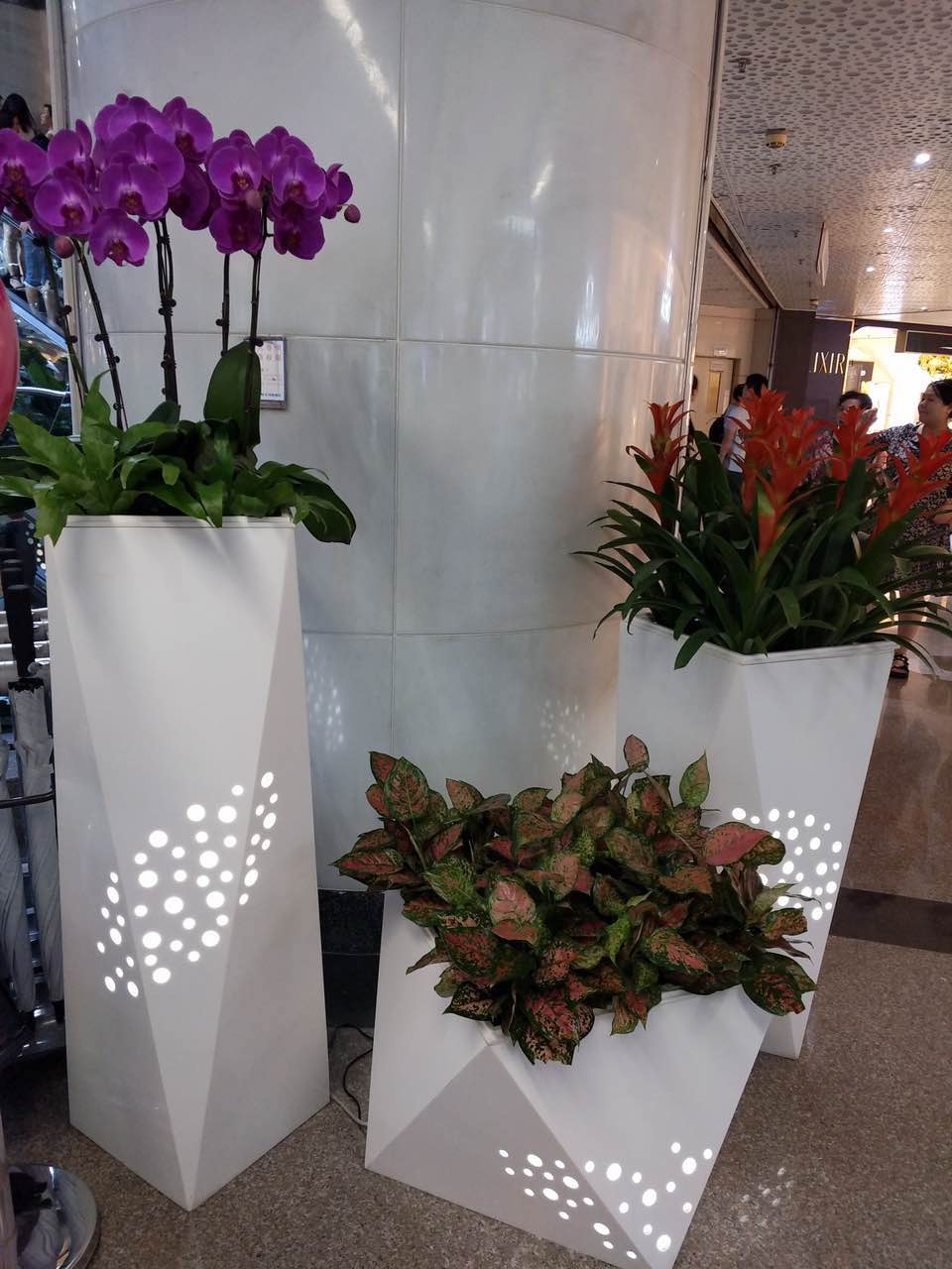 花卉擺放技巧,吸毒植物種類,如何種植花草,長(zhǎng)沙高端盆花租賃,長(zhǎng)沙花卉租賃,長(zhǎng)沙組合組景租賃,長(zhǎng)沙室內(nèi)外花卉租賃公司 花卉擺放技巧,吸毒植物種類,如何種植花草,長(zhǎng)沙高端盆花租賃,長(zhǎng)沙花卉租賃,長(zhǎng)沙組合組景租賃,長(zhǎng)沙室內(nèi)外花卉租賃公司